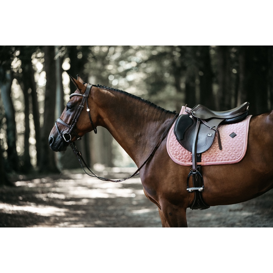 Cso Mat Kentucky