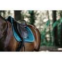 Cso Mat Kentucky