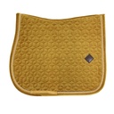 Cso Mat Kentucky