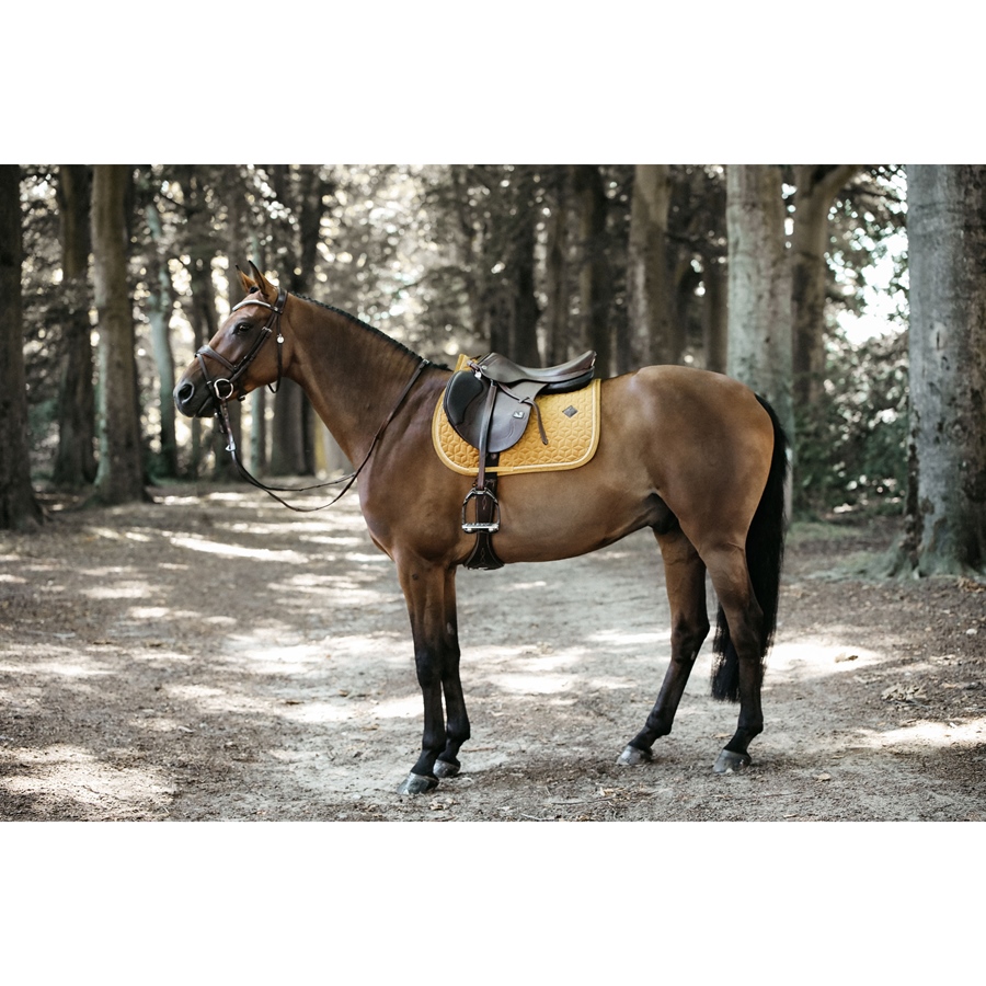 Cso Mat Kentucky