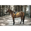 Cso Mat Kentucky