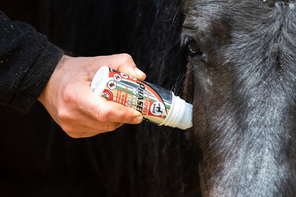 Roll-on Insect Repellent for Horses Leovet Power Phaser