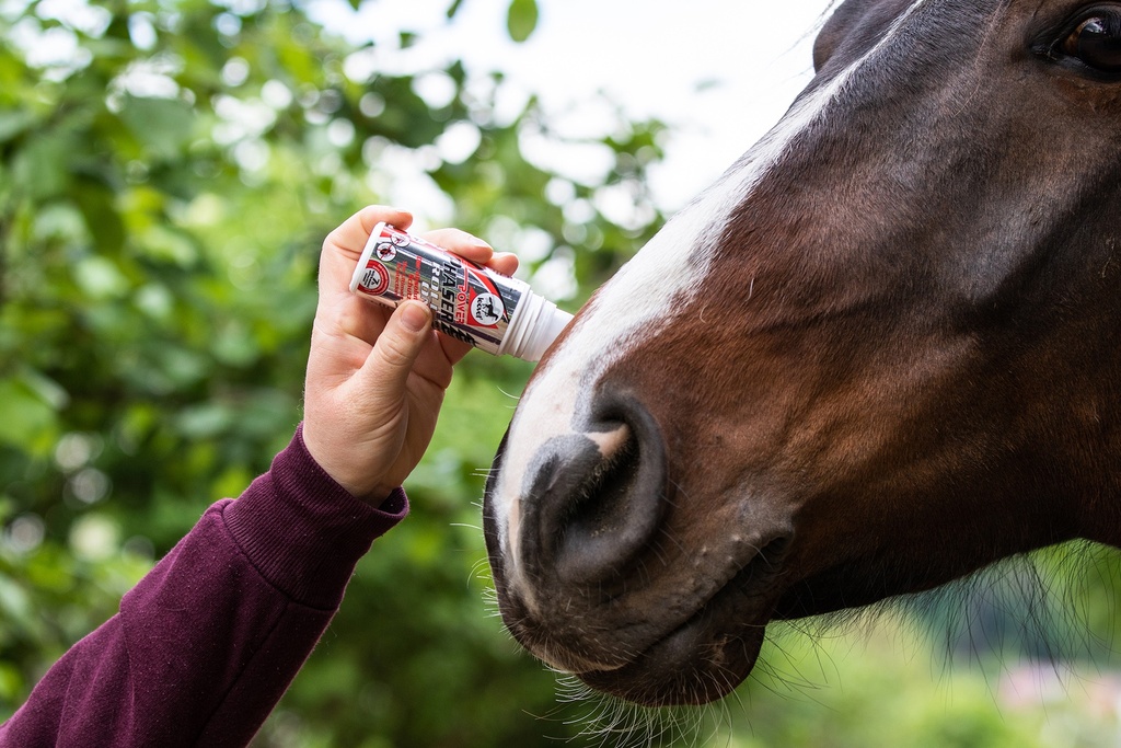 Roll-on Insect Repellent for Horses Leovet Power Phaser