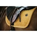 Cso Mat Kentucky