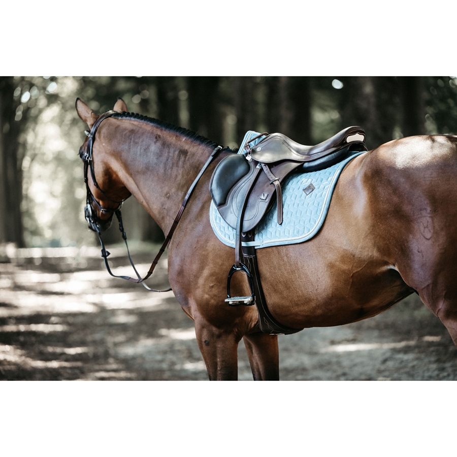Cso Mat Kentucky