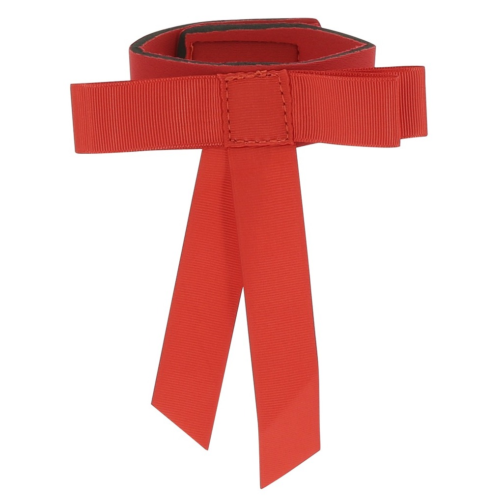RUBAN DE QUEUE Norton ROUGE