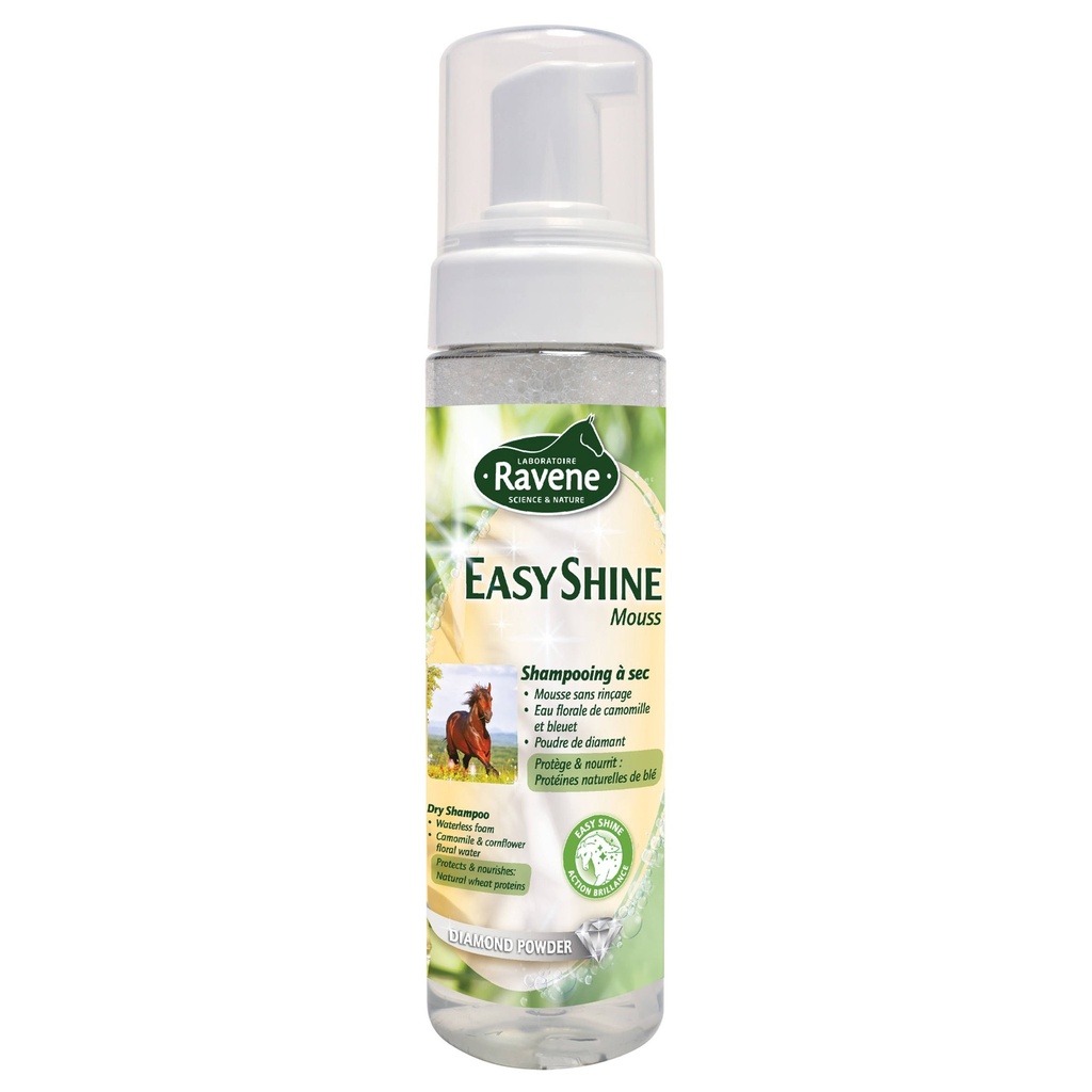 [718013] RAVENE EASY SHINE MOUSSE 200ml