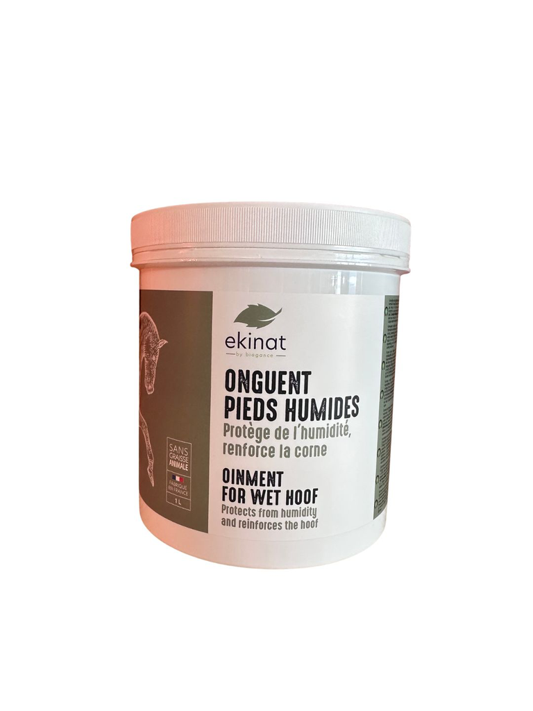 ONGUENTS PIEDS HUMIDES 