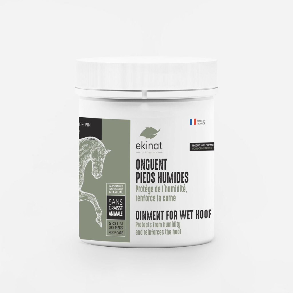 ONGUENTS PIEDS HUMIDES 