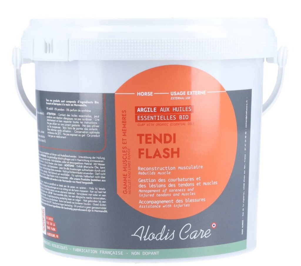 ARGILE TENDI FLASH 10KG