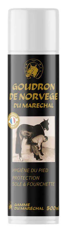 GOUDRON NORVEGE Spray 500ml