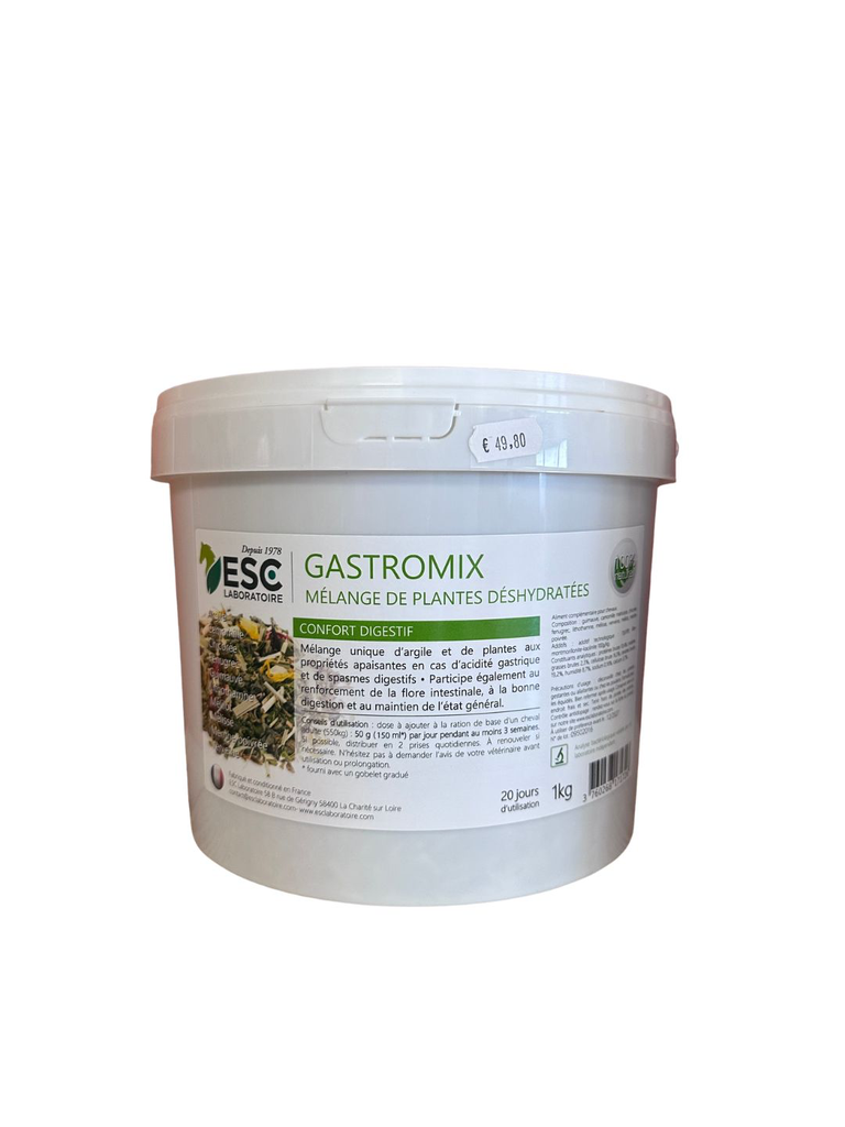 GASTROMIX