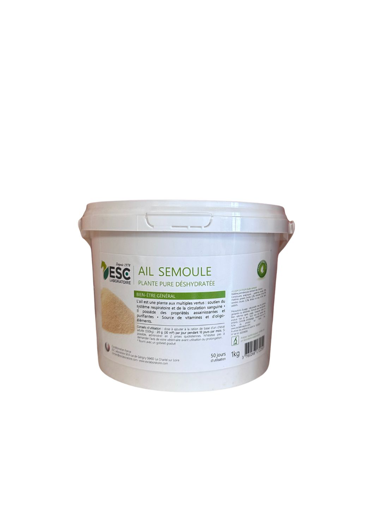 [ESAISE1] AIL SEMOULE