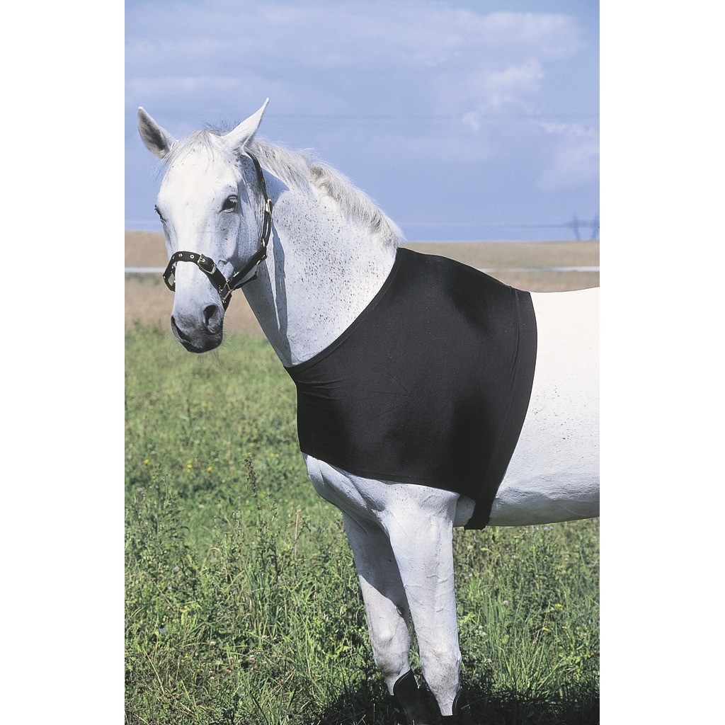 [400400001] PROTECTION EPAULES NOIR (S)