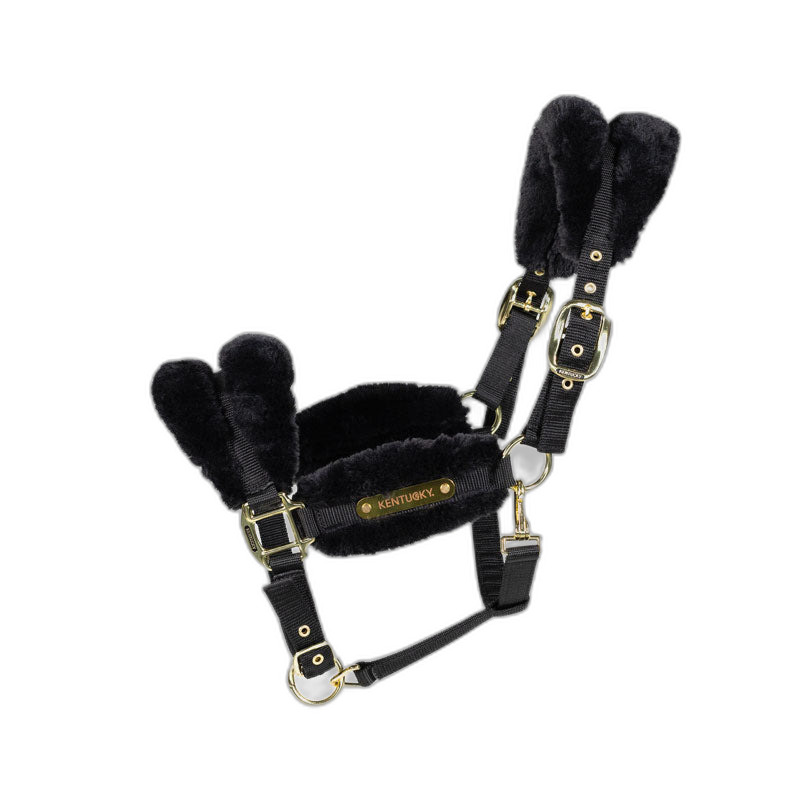 LICOL MOUTON KENTUCKY