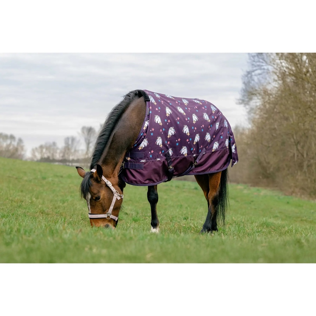 [400585140] LICORNE 600 STD 220G PRUNE (4'0)