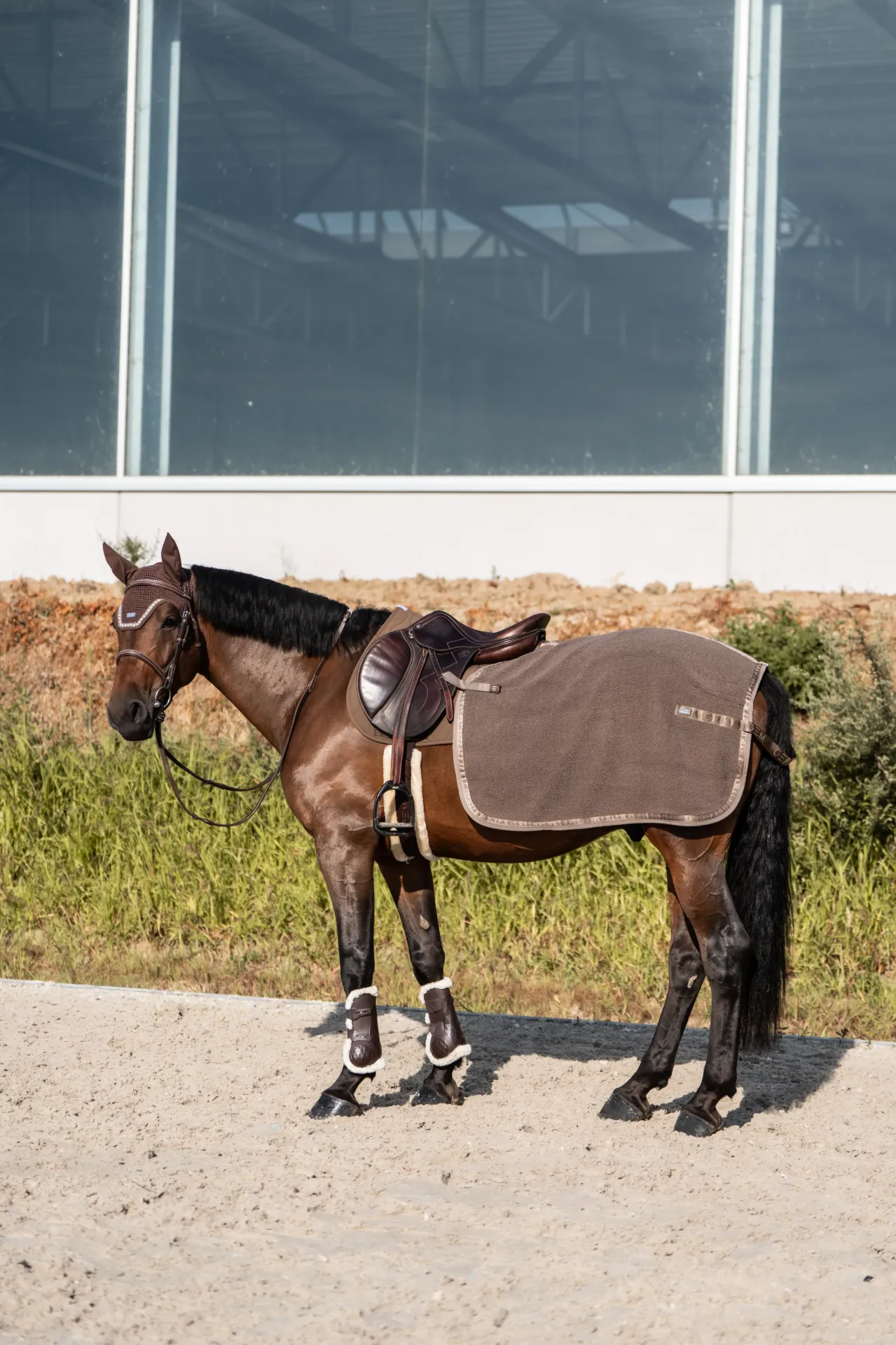 Couvre-reins Tao Cheval