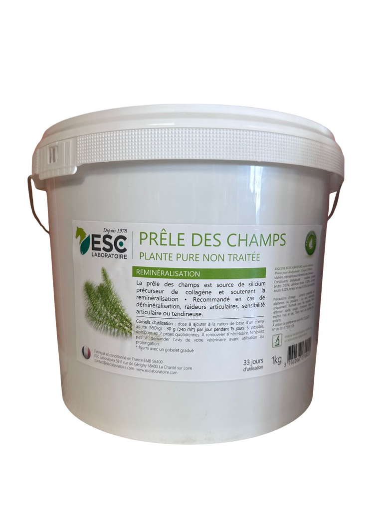 [ESPRCH1] PRELE DES CHAMPS