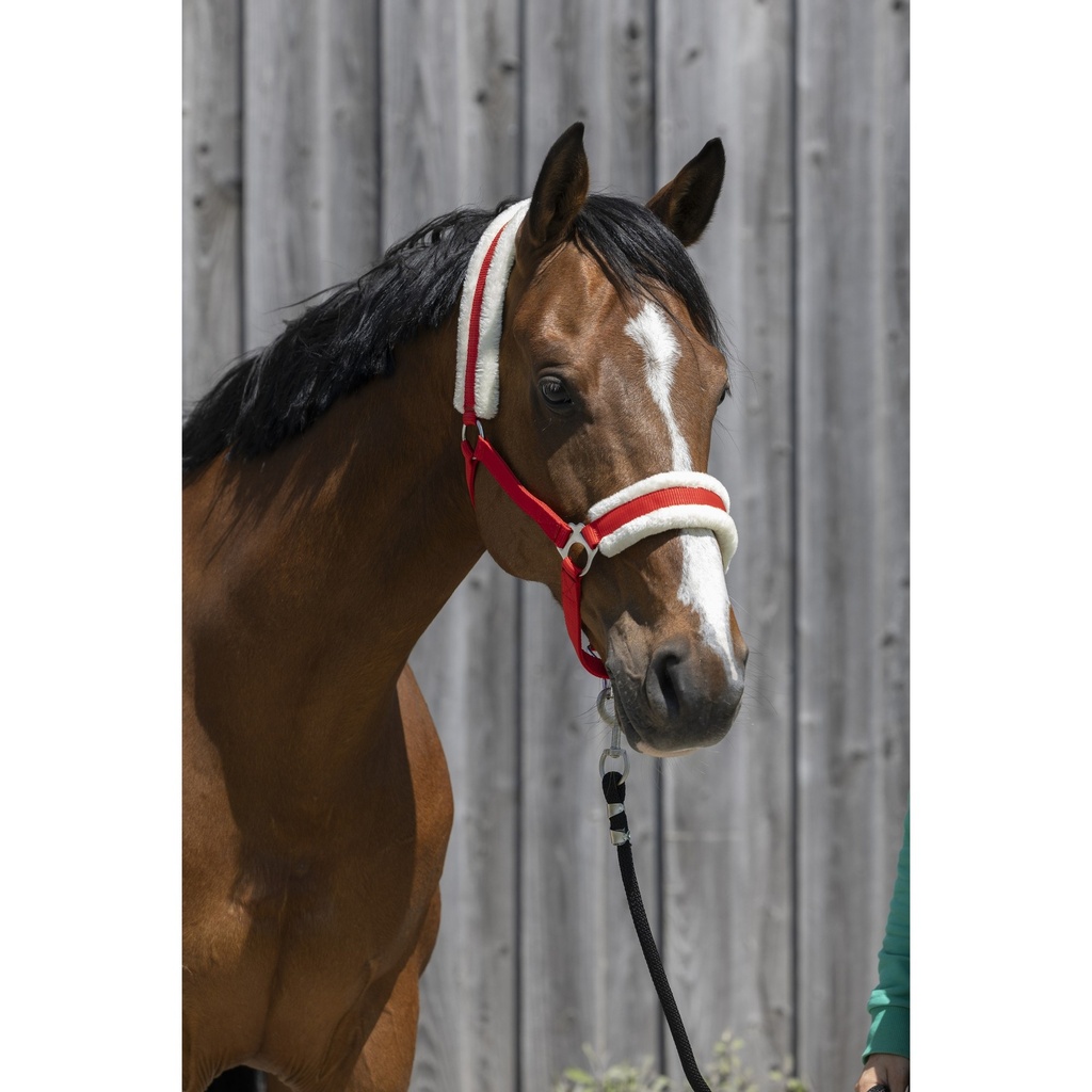 [510242003] LICOL MOUTON SYNT.SH ROUGE    